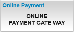 Online Payment
